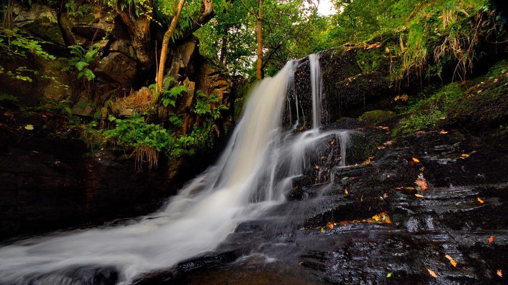 Birchwood Hotel Pitlochry Dış mekan fotoğraf